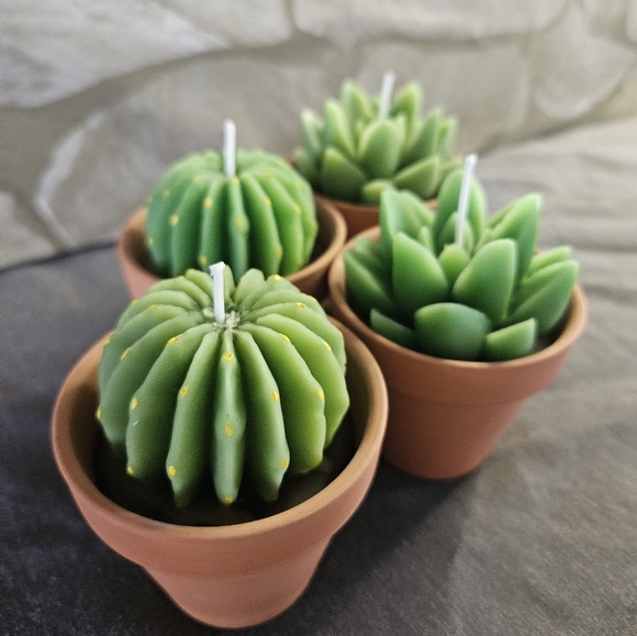 Homemade Beeswax Succulent/Cactus Pot Candles - Picture 3 of 8
